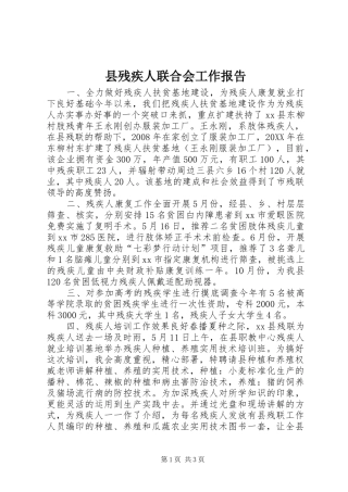 2024年县残疾人联合会工作报告