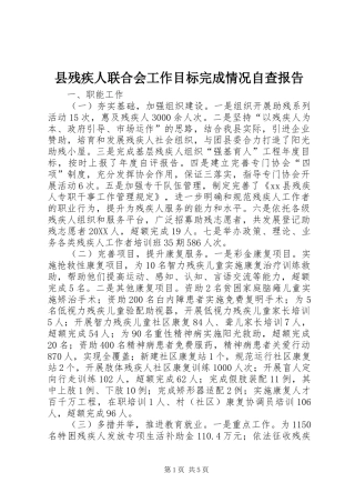 2024年县残疾人联合会工作目标完成情况自查报告
