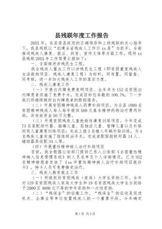 2024年县残联年度工作报告