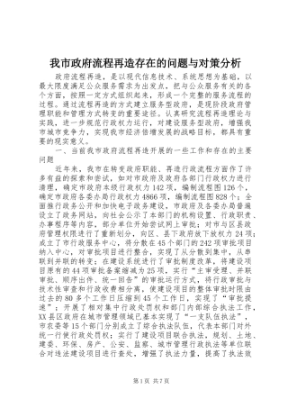 2024年我市政府流程再造存在的问题与对策分析