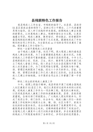 2024年县残联特色工作报告