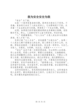 2024年我为安全安全为我