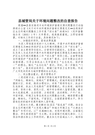 2024年县城管局关于环境问题整改的自查报告
