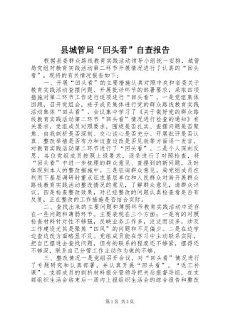 2024年县城管局回头看自查报告