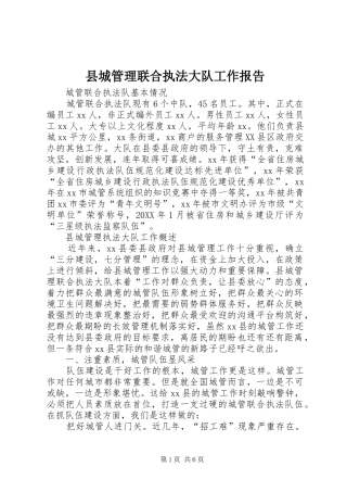 2024年县城管理联合执法大队工作报告