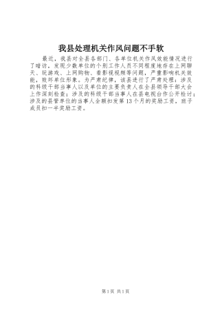 2024年我县处理机关作风问题不手软