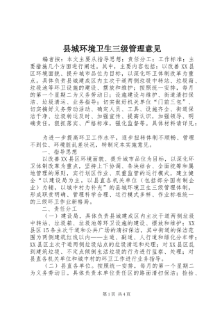 2024年县城环境卫生三级管理意见