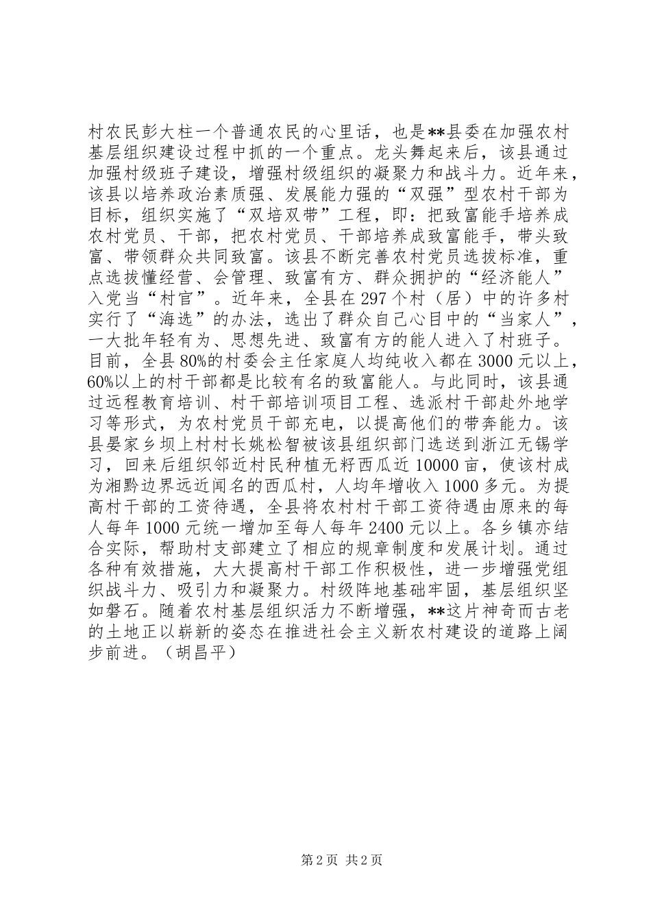 2024年我县加强农村基层组织工作纪实_第2页