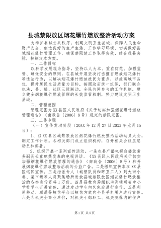 2024年县城禁限放区烟花爆竹燃放整治活动方案