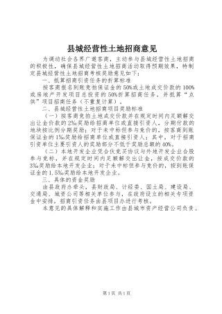 2024年县城经营性土地招商意见