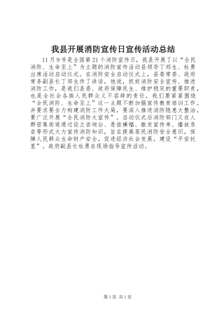 2024年我县开展消防宣传日宣传活动总结