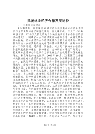 2024年县城林业经济合作发展途径