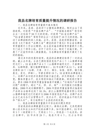 2024年我县名牌培育质量提升情况的调研报告