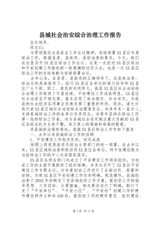 2024年县城社会治安综合治理工作报告