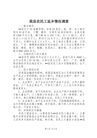2024年我县农民工返乡情况调查