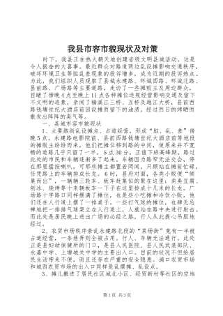 2024年我县市容市貌现状及对策