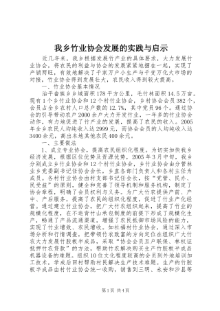 2024年我乡竹业协会发展的实践与启示