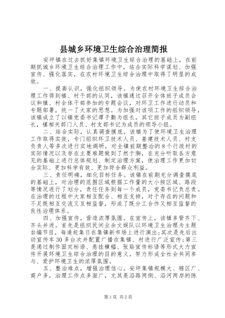 2024年县城乡环境卫生综合治理简报