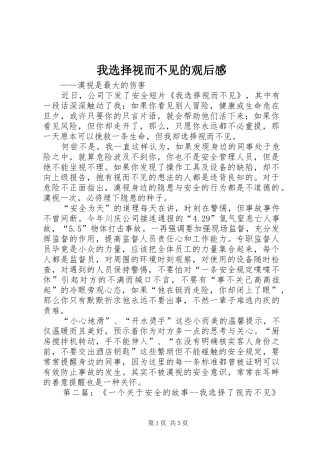 2024年我选择视而不见的观后感