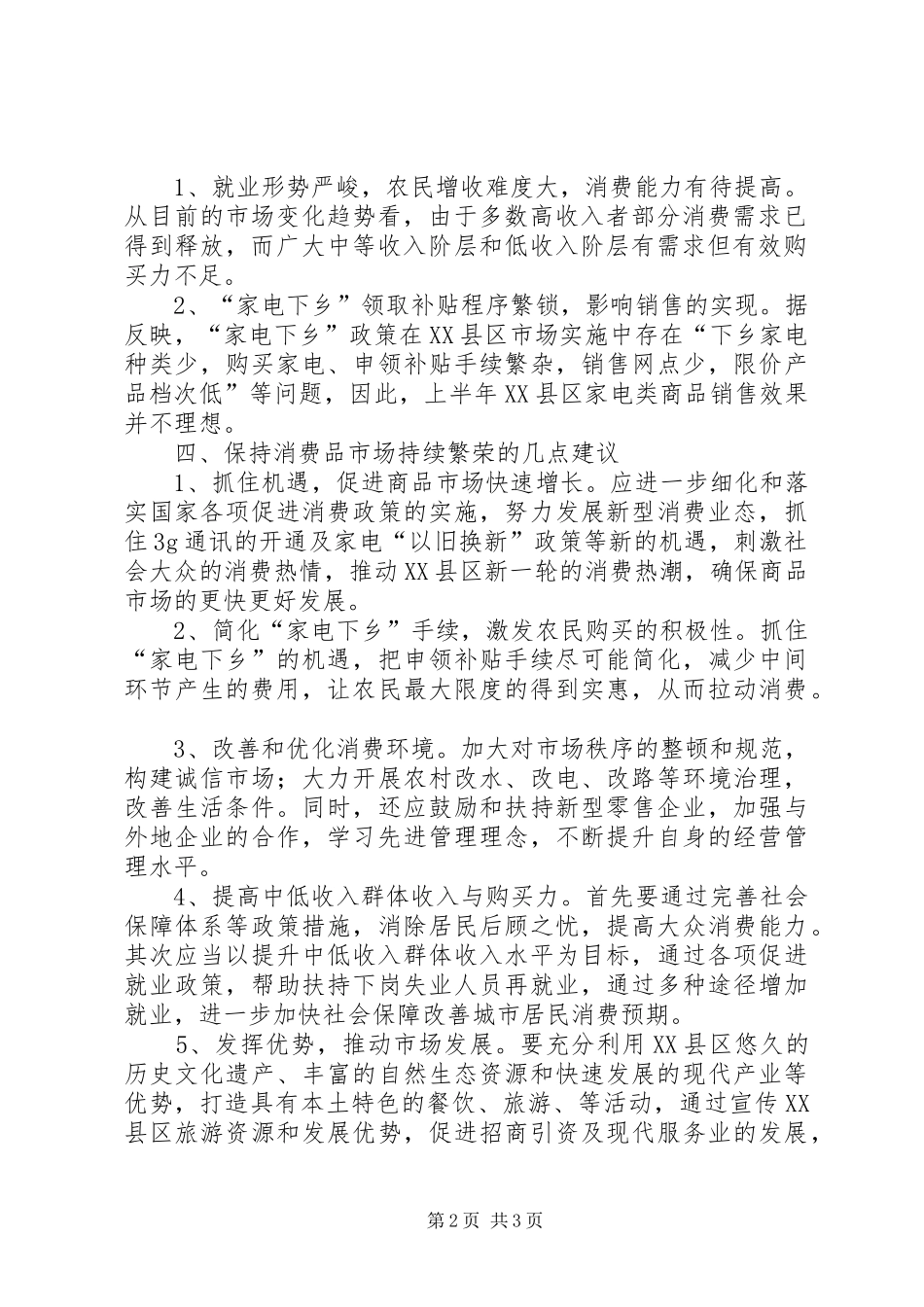 2024年县城消费品市场运行总结_第2页