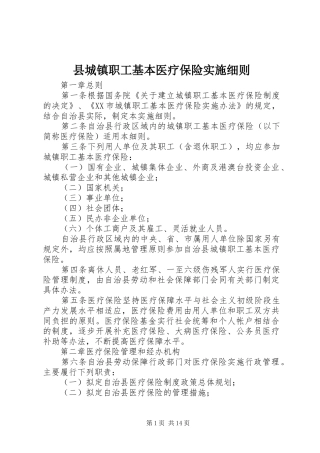 2024年县城镇职工基本医疗保险实施细则