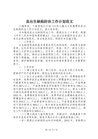 2024年县出生缺陷防治工作计划范文
