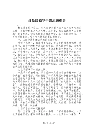 2024年县处级领导干部述廉报告