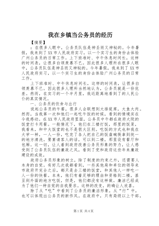 2024年我在乡镇当公务员的经历