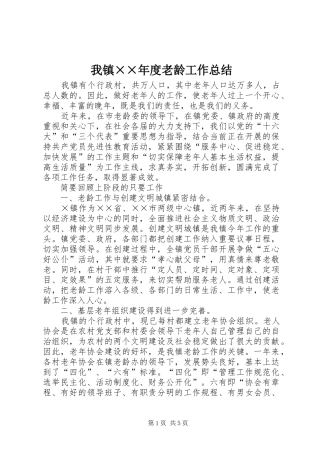 2024年我镇年度老龄工作总结