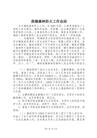 2024年我镇森林防火工作总结