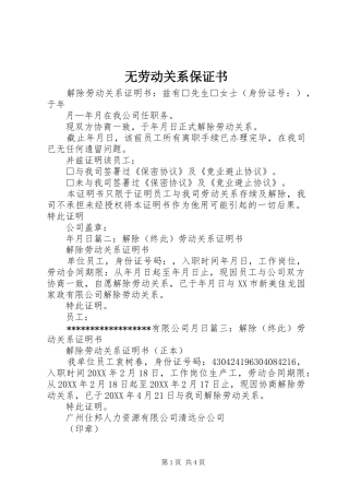 2024年无劳动关系保证书