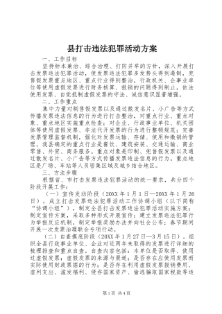 2024年县打击违法犯罪活动方案