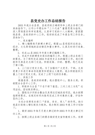 2024年县党史办工作总结报告