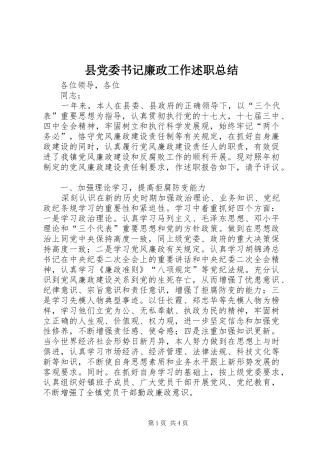 2024年县党委书记廉政工作述职总结