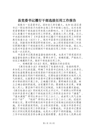 2024年县党委书记履行干部选拔任用工作报告