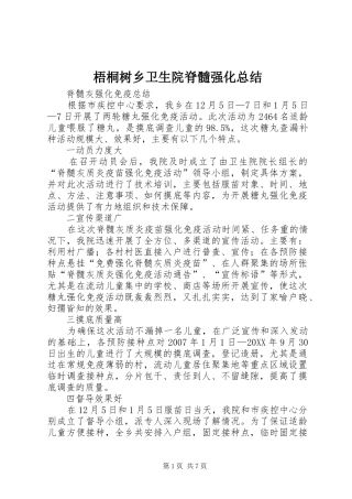 2024年梧桐树乡卫生院脊髓强化总结