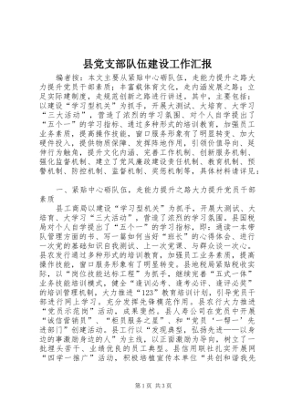 2024年县党支部队伍建设工作汇报