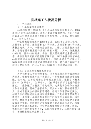 2024年县档案工作状况分析