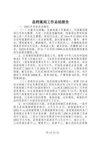 2024年县档案局工作总结报告