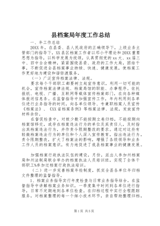 2024年县档案局年度工作总结