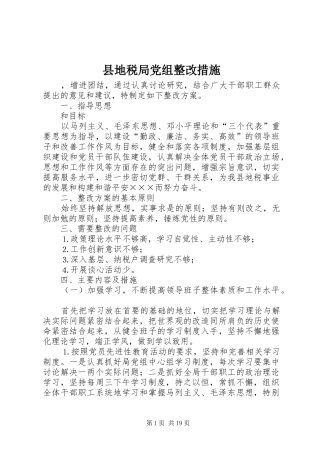 2024年县地税局党组整改措施
