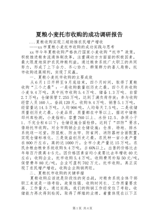 2024年夏粮小麦托市收购的成功调研报告