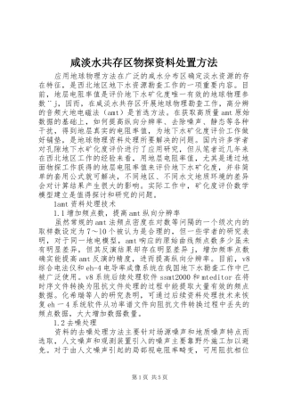 2024年咸淡水共存区物探资料处置方法