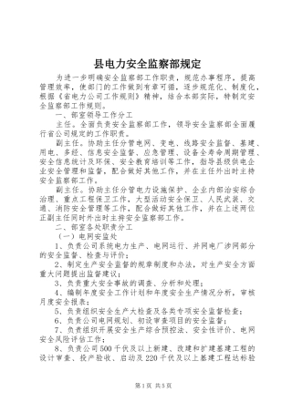 2024年县电力安全监察部规定