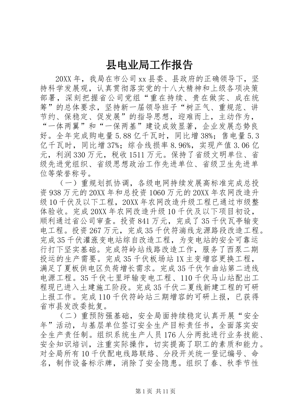 2024年县电业局工作报告_第1页