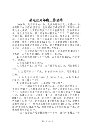 2024年县电业局年度工作总结