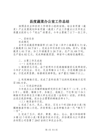 2024年县度蔬菜办公室工作总结
