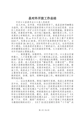 2024年县对外开放工作总结