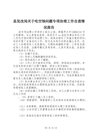 2024年县发改局关于吃空饷问题专项治理工作自查情况报告