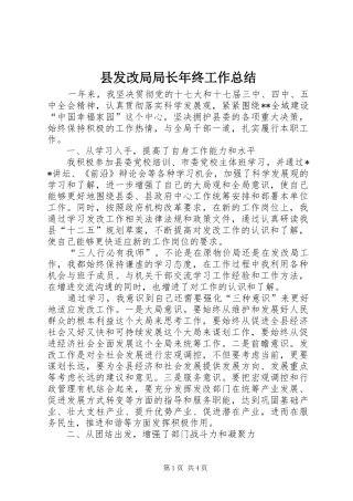 2024年县发改局局长年终工作总结